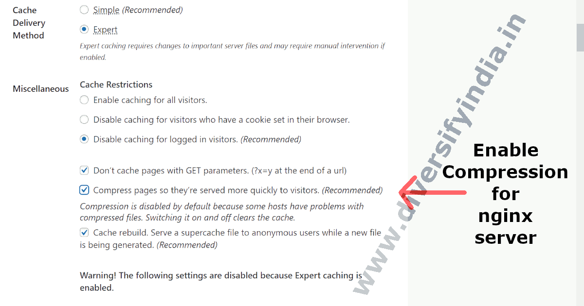 WP Super Cache Expert Mode Settings for the Nginx Server